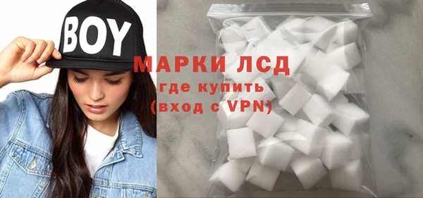 ГАЛЛЮЦИНОГЕННЫЕ ГРИБЫ Заволжье